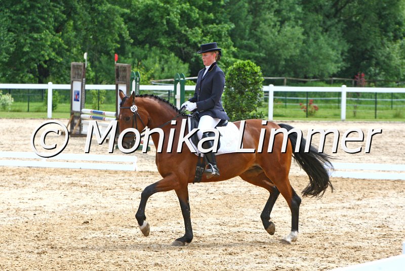 006M4242_Dressur L.JPG